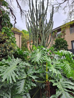 Lovely 1bed apartment Sydney inner west w parking, Sydney